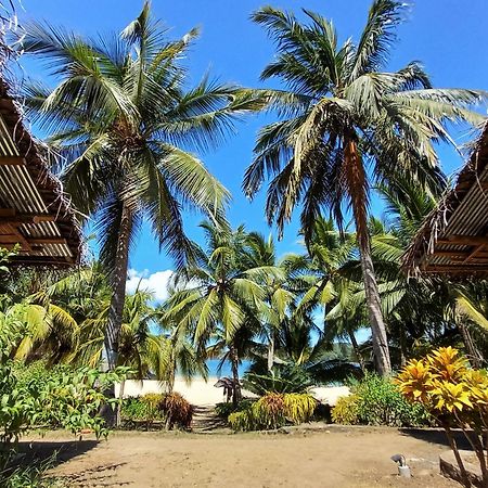 Moheli Laka Lodge Nioumachoua Exteriör bild